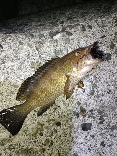 串木野新港
