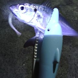 アジ