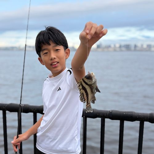 若洲海浜公園海釣り施設