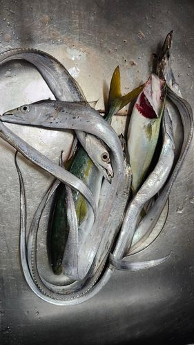 野積海岸