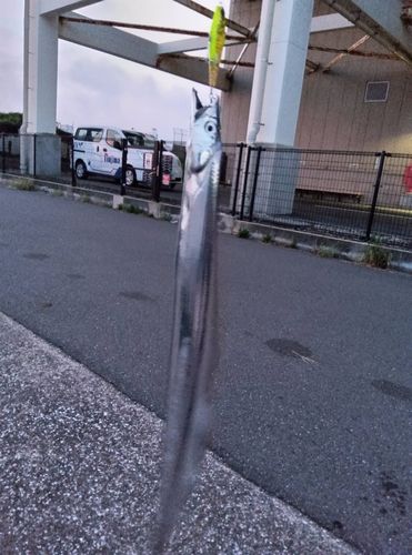 うみかぜ公園