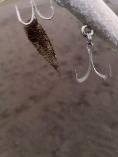 三浦海岸
