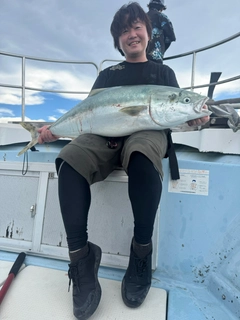 ブリの釣果