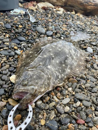 伊良湖サーフ