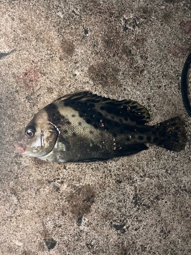 一色さかな広場前