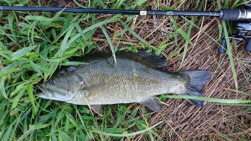 阿武隈川下流