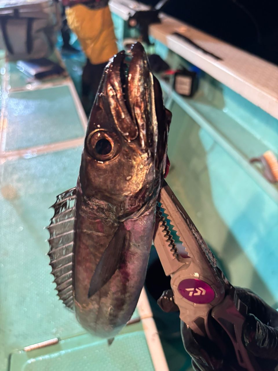 tsuyo4444さんの釣果 2枚目の画像