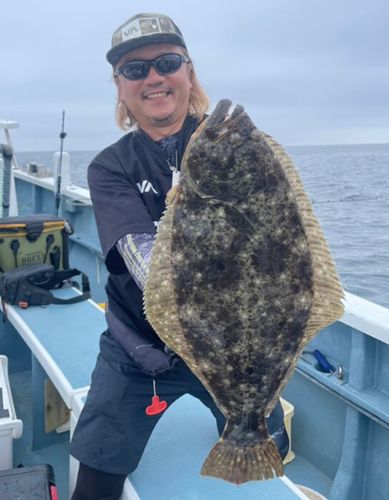 ヒラメの釣果