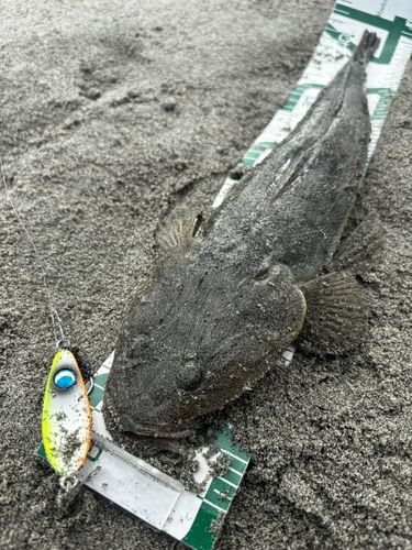大倉戸海岸