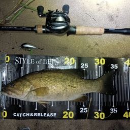 スモールマウスバス