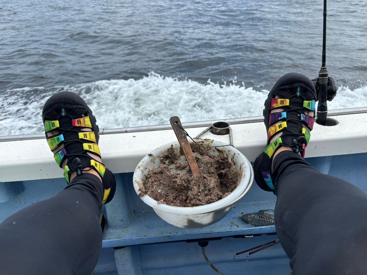 まなひなさんの釣果 3枚目の画像