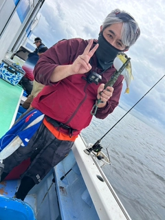 シロサバフグの釣果