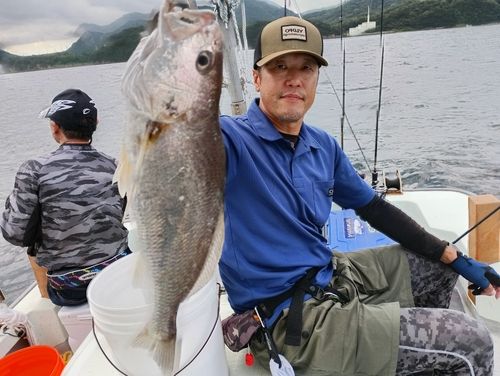 イシモチの釣果
