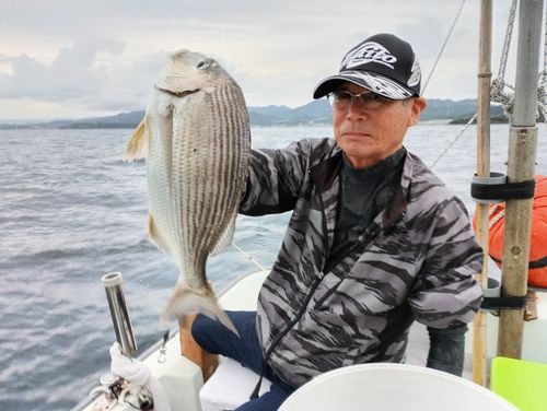 キビレの釣果