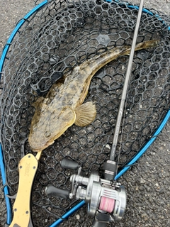釣果