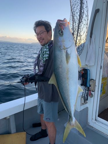 ヒラマサの釣果