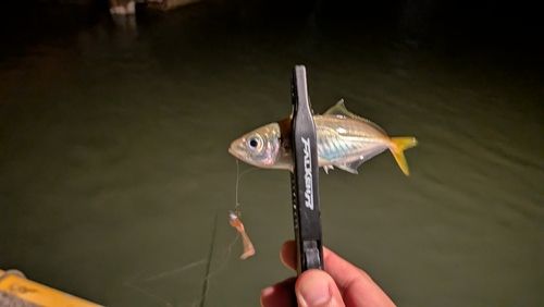 玄界灘