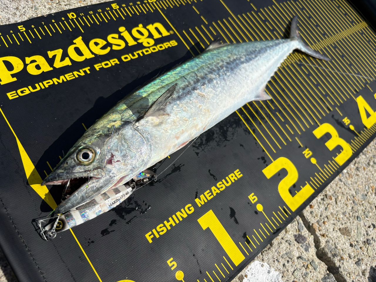 SHIMANO 20コルトスナイパー XR S96MHの最安値・インプレ・釣果