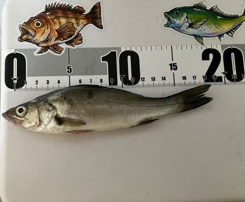 奥浜名湖