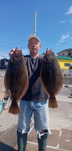ヒラメの釣果