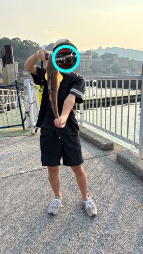 湯の児島