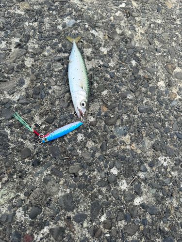 石狩湾新港