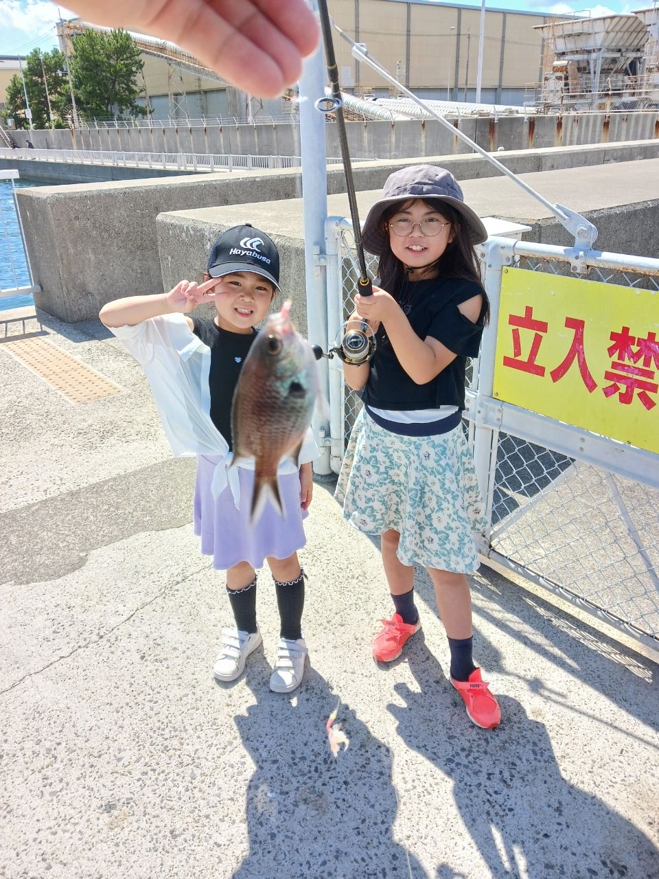 アイゴ