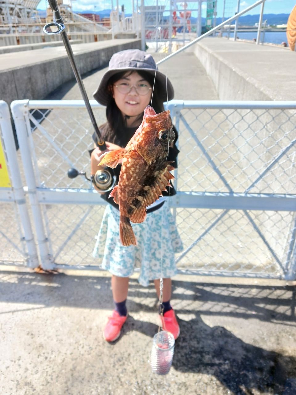 アイゴ