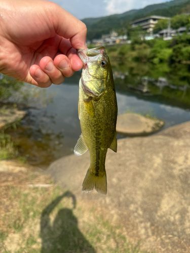 木津川下流（京都）