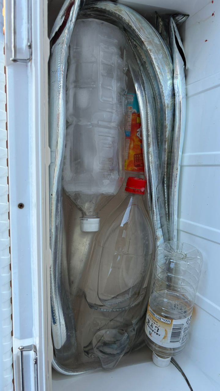 つりりりりさんの釣果 1枚目の画像