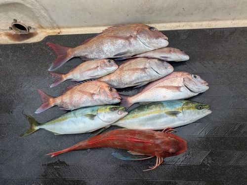 大阪湾