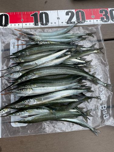 高洲海浜公園