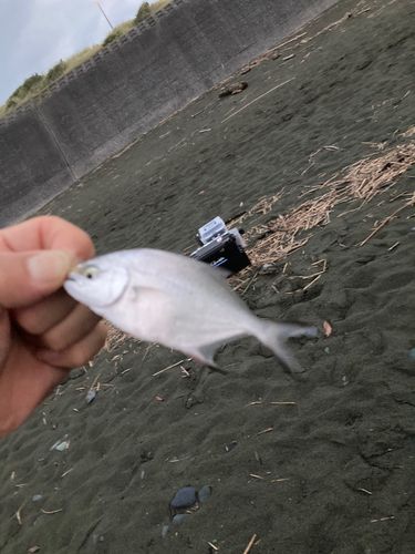 大磯海岸