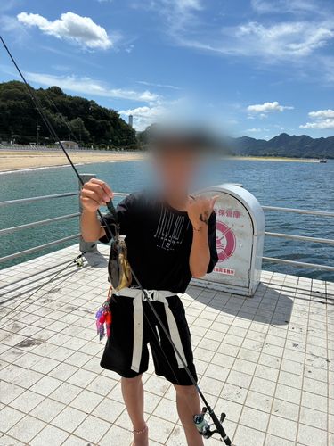 ベイサイドビーチ坂