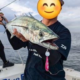サワラ