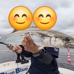サワラ