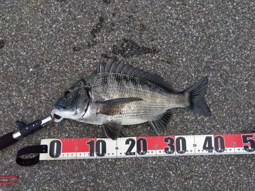 稲毛海浜公園