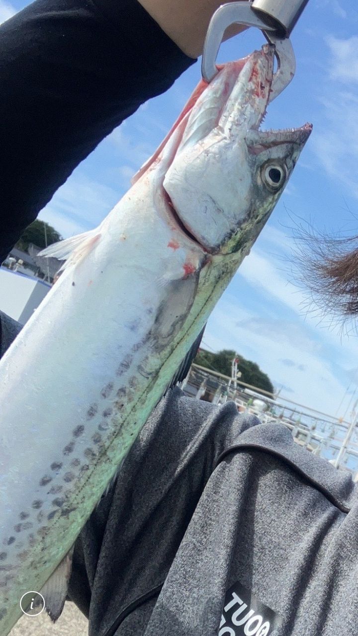 クエ