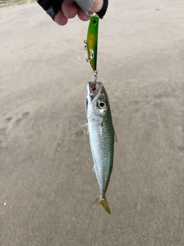 鹿島灘