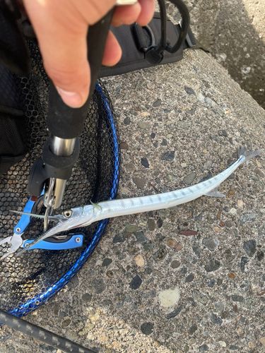 大浜地区ふれあい広場