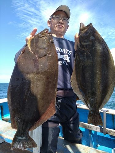 ヒラメの釣果