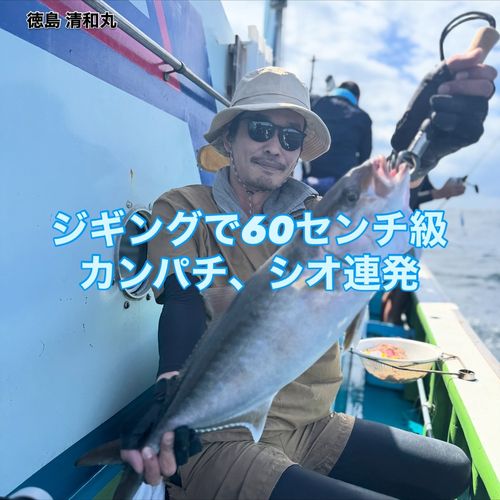 カンパチの釣果
