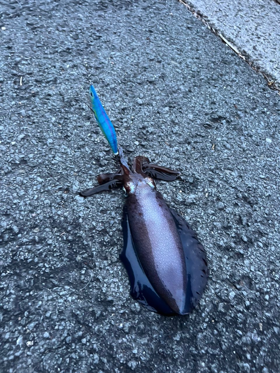 ヤズ