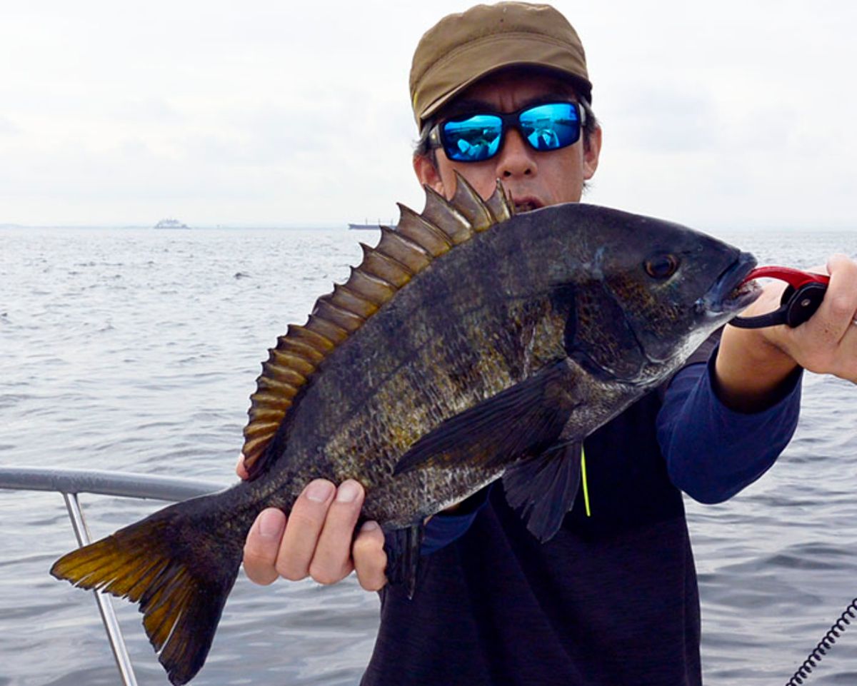 シーバス船シーホース　ウッチー船長さんの釣果 2枚目の画像