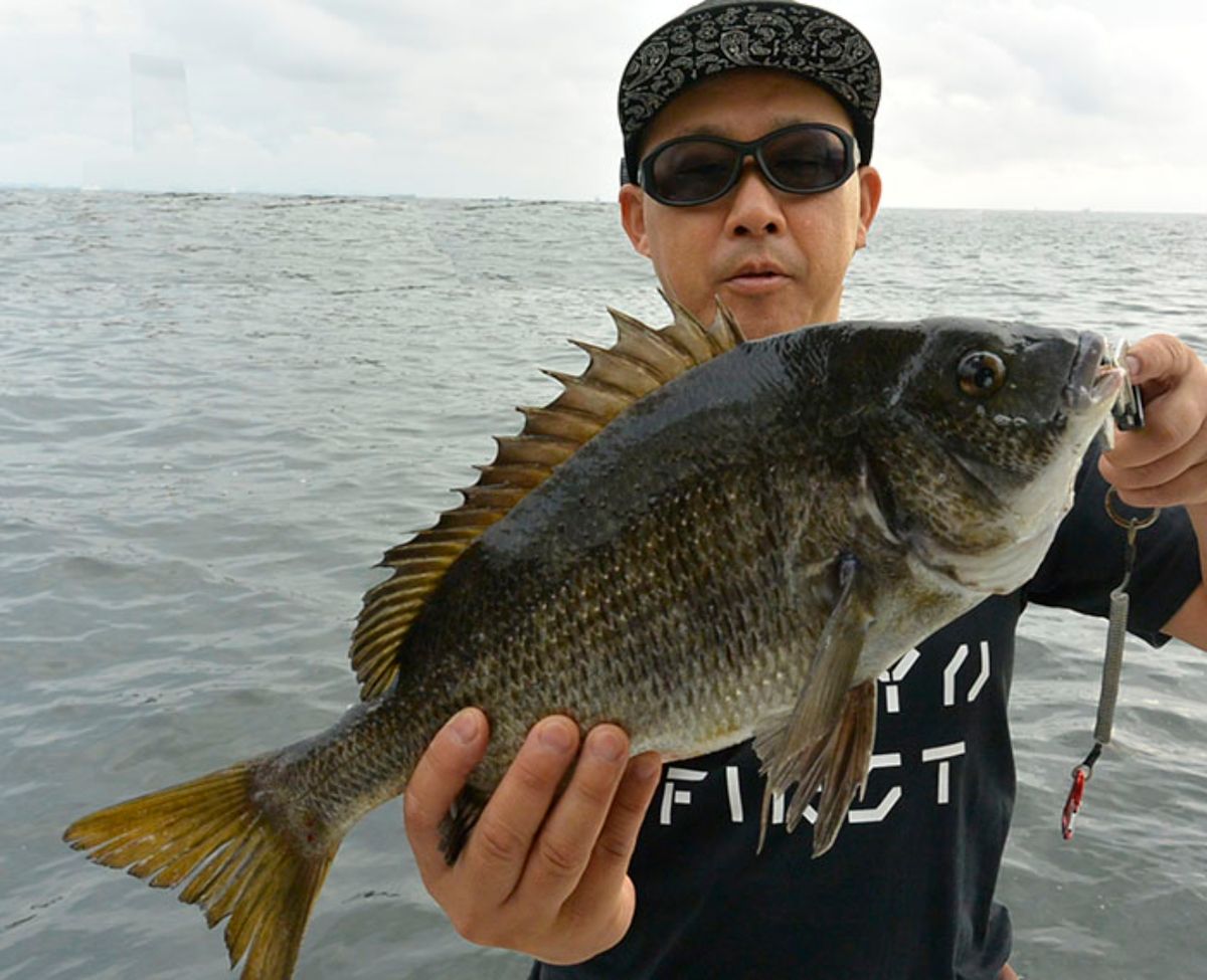 シーバス船シーホース　ウッチー船長さんの釣果 3枚目の画像
