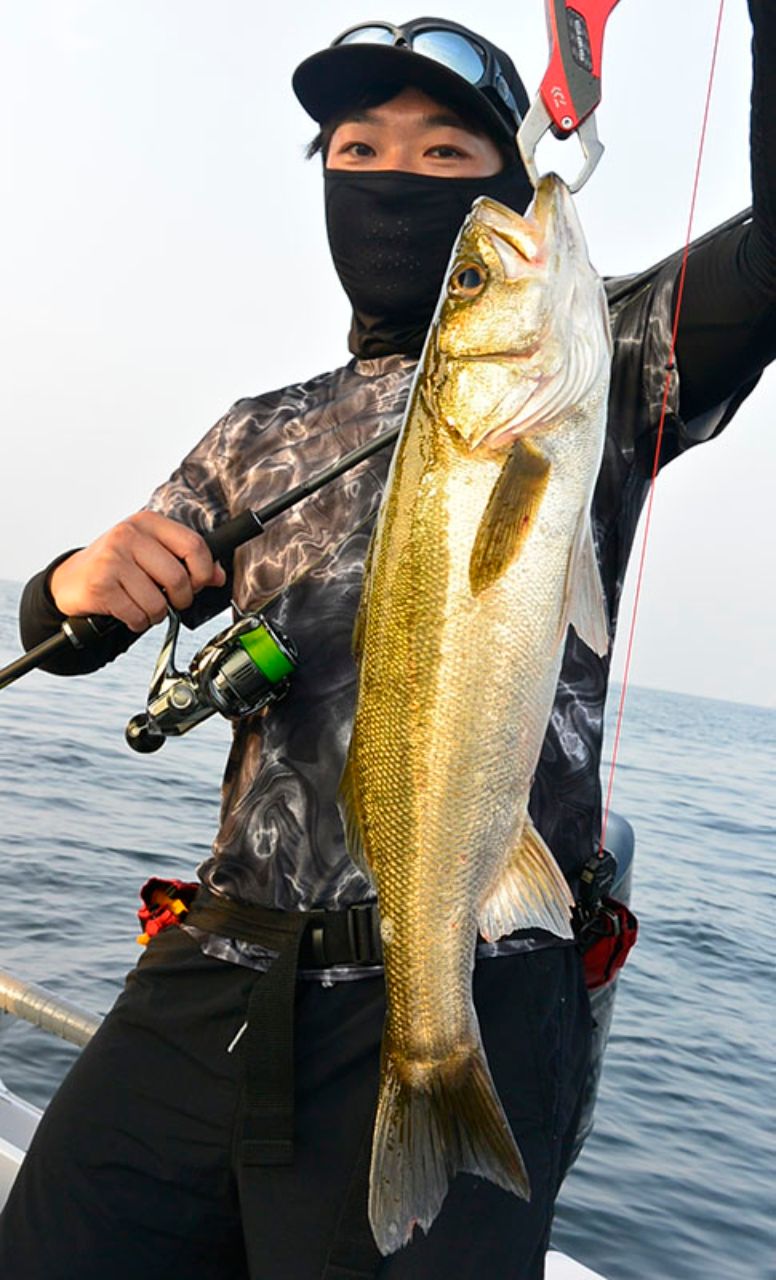 シーバス船シーホース　ウッチー船長さんの釣果 2枚目の画像