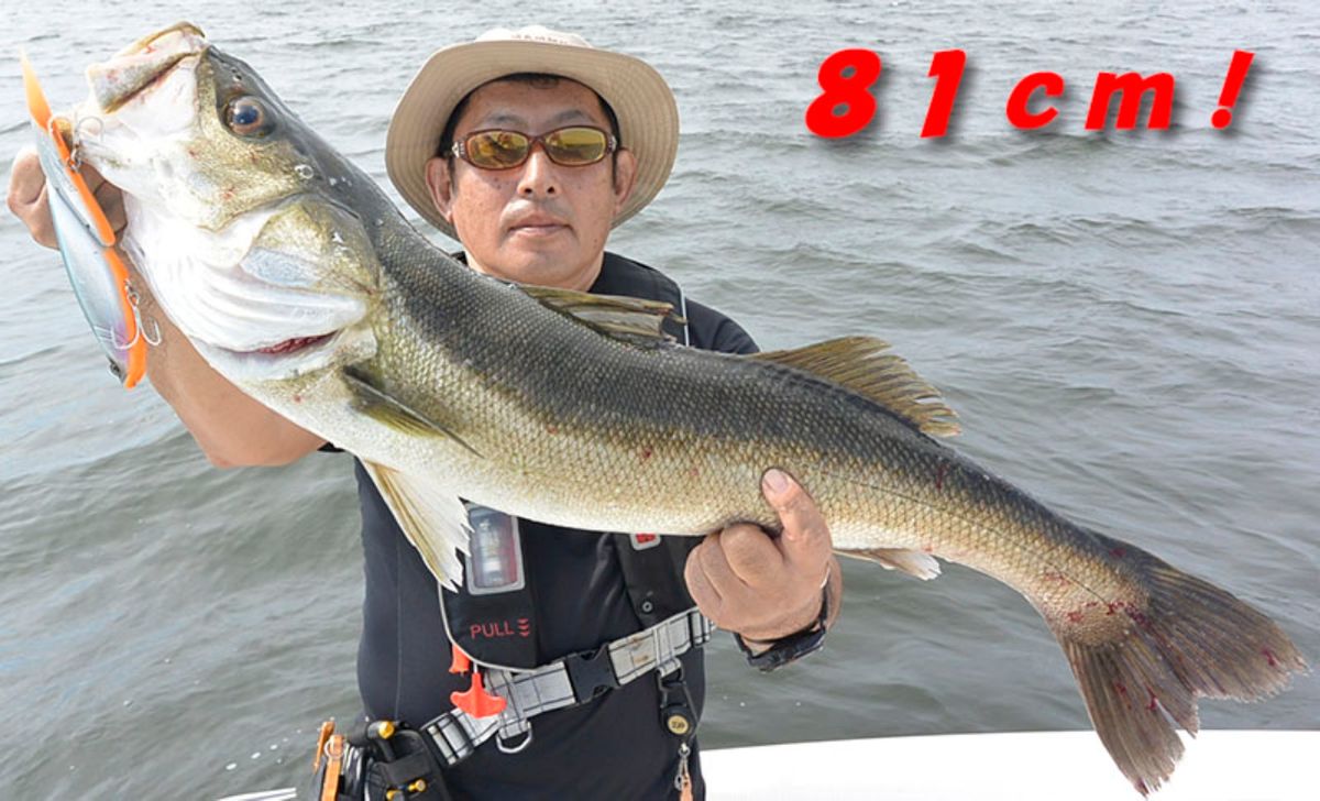 シーバス船シーホース　ウッチー船長さんの釣果 1枚目の画像