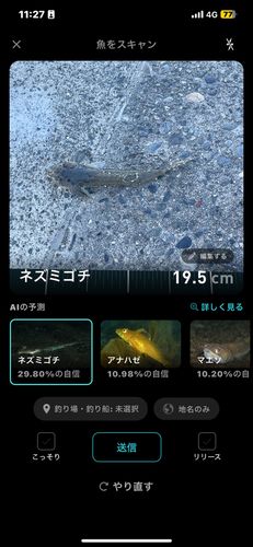 表浜名湖