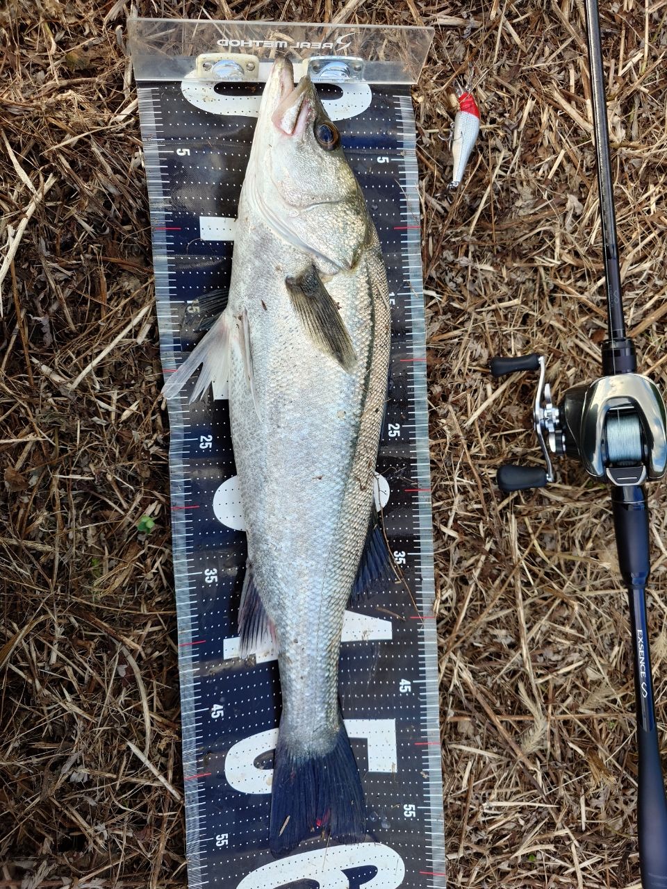 SHIMANO 22エクスセンス ∞ (インフィニティ) B86MLの最安値