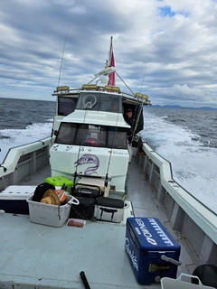 イトヨリダイの釣果